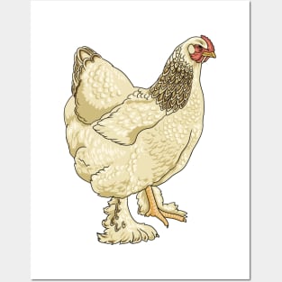 Brahma Chicken Posters and Art